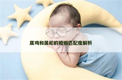 属鸡和属蛇的婚姻匹配度解析