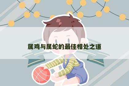 属鸡与属蛇的最佳相处之道