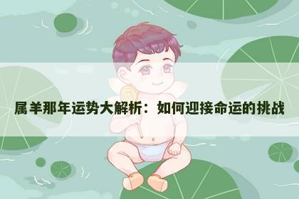属羊那年运势大解析：如何迎接命运的挑战