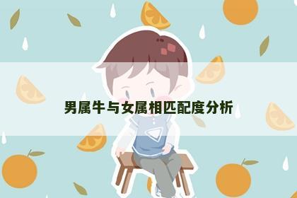 男属牛与女属相匹配度分析