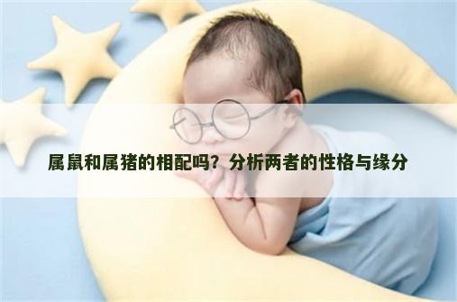 属鼠和属猪的相配吗？分析两者的性格与缘分