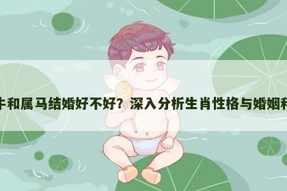 属牛和属马结婚好不好？深入分析生肖性格与婚姻和谐
