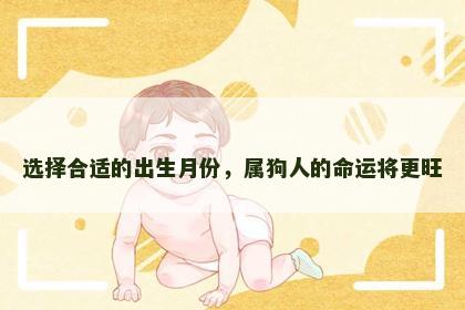 选择合适的出生月份，属狗人的命运将更旺