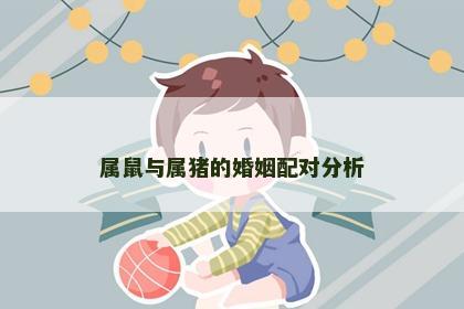 属鼠与属猪的婚姻配对分析