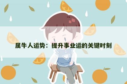 属牛人运势：提升事业运的关键时刻