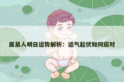 属鼠人明日运势解析：运气起伏如何应对