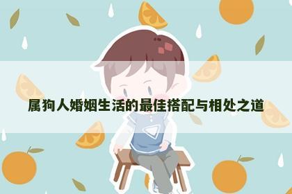 属狗人婚姻生活的最佳搭配与相处之道