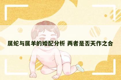 属蛇与属羊的婚配分析 两者是否天作之合