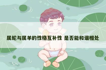 属蛇与属羊的性格互补性 是否能和谐相处