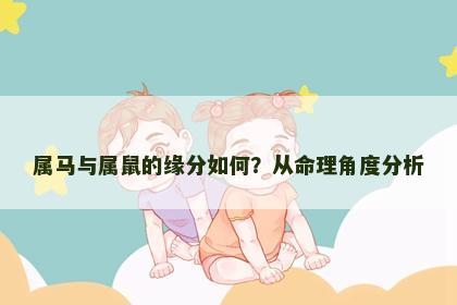 属马与属鼠的缘分如何？从命理角度分析