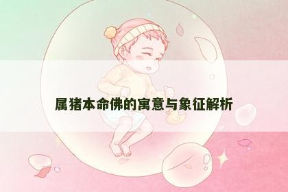 属猪本命佛的寓意与象征解析