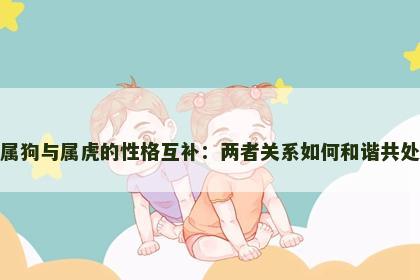 属狗与属虎的性格互补：两者关系如何和谐共处