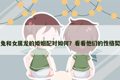 男属兔和女属龙的婚姻配对如何？看看他们的性格契合度