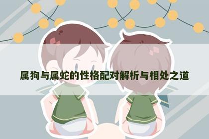 属狗与属蛇的性格配对解析与相处之道