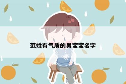 范姓有气质的男宝宝名字