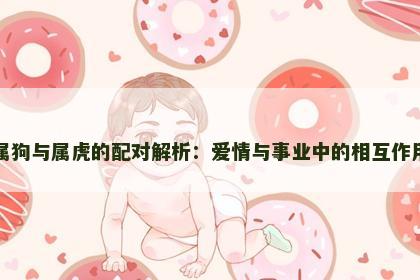属狗与属虎的配对解析：爱情与事业中的相互作用