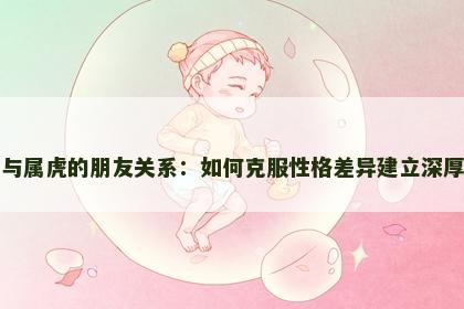 属狗与属虎的朋友关系：如何克服性格差异建立深厚友谊