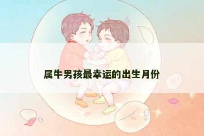 属牛男孩最幸运的出生月份