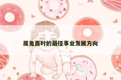 属兔酉时的最佳事业发展方向