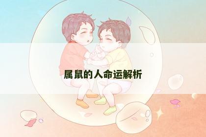 属鼠的人命运解析