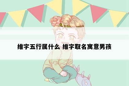 维字五行属什么 维字取名寓意男孩