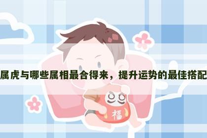 属虎与哪些属相最合得来，提升运势的最佳搭配