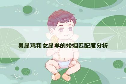 男属鸡和女属羊的婚姻匹配度分析
