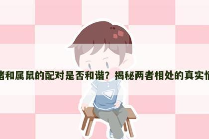 属猪和属鼠的配对是否和谐？揭秘两者相处的真实情况