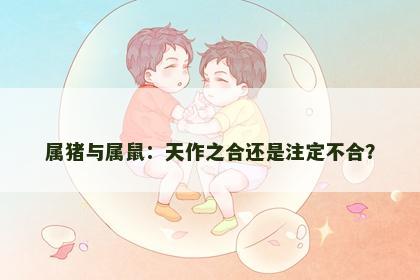 属猪与属鼠：天作之合还是注定不合？