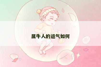 属牛人的运气如何