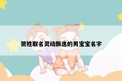 贺姓取名灵动飘逸的男宝宝名字