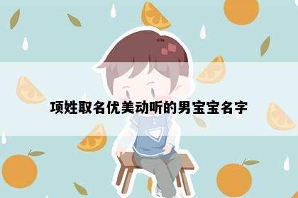 项姓取名优美动听的男宝宝名字
