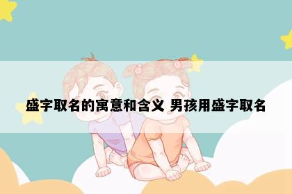 盛字取名的寓意和含义 男孩用盛字取名