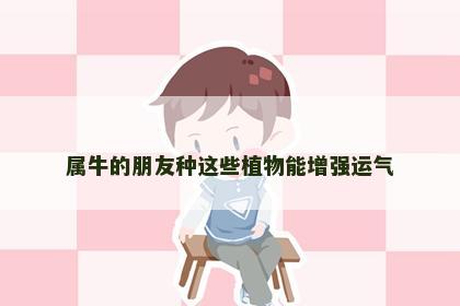 属牛的朋友种这些植物能增强运气