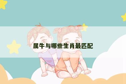 属牛与哪些生肖最匹配